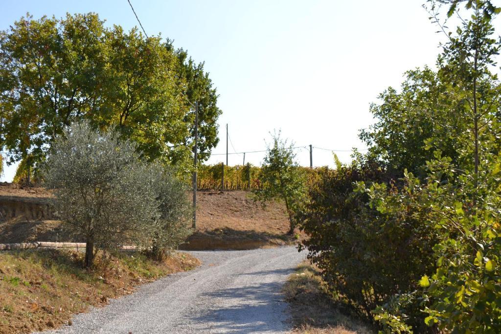 Agriturismo Costa Dei Platani Acqui Terme Exterior foto